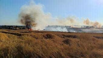 100 ton buğday zarar gördü! Silivri'de tarla alev alev yandı