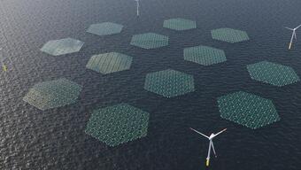 Kuzey Denizi'nde pilot proje: Yüzen güneş enerjisi parkı
