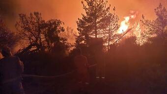 Manisa Soma'da orman yangını