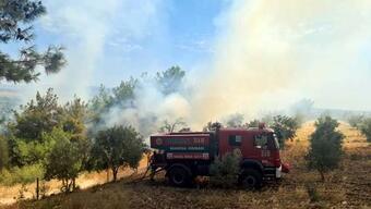 Manisa'da 2 ilçede orman yangını  