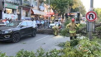 Sarıyer’de ağaç devrildi yol trafiğe kapandı