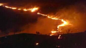 İspanya'nın ormanları yanıyor