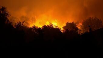 Portekiz günlerdir orman yangınlarıyla boğuşuyor