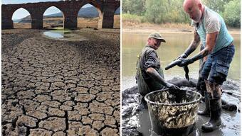 Fotoğraflarla Avrupa’da kuraklık: Nehirler kuruyor, taşımacılık tehlike altında