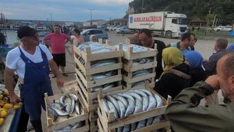 Kastamonu'da balıkçılar palamudu bolluktan ücretsiz dağıttı