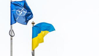 Ukrayna'da çarpıcı anket! Yüzde 83 destek veriyor