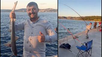 Gören şaşkına döndü: Beykoz'da oltasına yavru köpek balığı takıldı