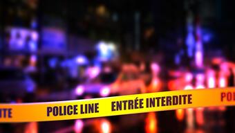 Kanada'da seri katil dehşeti! Kardeşi dahil 11 kişiyi öldürmüştü: Yeni detaylar ortaya çıktı