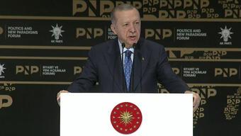 Cumhurbaşkanı Erdoğan:Tahıl krizinin çözümü diplomatik başarıdır