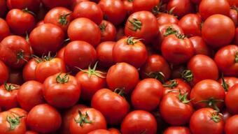 Prof. Dr. Canan Karatay uyarıyor: Her öğünde tükettiğiniz domatesin tehlikesi büyük!
