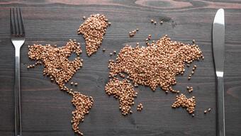 BM'den gıda güvenliği raporu: İthalat faturası tüm zamanların rekor seviyesinde