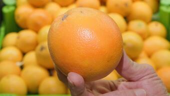 Tarladan markete portakalın hikayesi