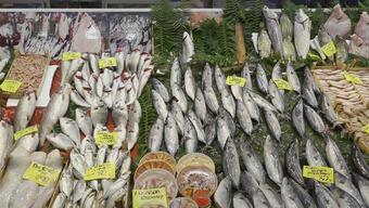 İstanbul'da hangi balık bol, fiyatlar nasıl?