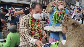 Tayland’da Maymun Festivali: Yiyecek ikram ettiler