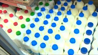 Çiğ sütün fiyatına ne oluyor?