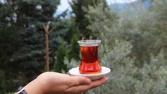 'Türk çay kültürü', UNESCO listesinde! En iyi çay nasıl demlenir?