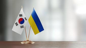 Güney Kore'den Ukrayna'ya 100 tonluk insani yardım