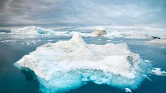 Grönland'da sıcaklıklar son bin yılın zirvesinde