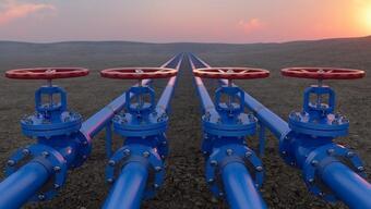 Sırbistan ve Bulgaristan yeni doğal gaz boru hattı inşaatına başladı