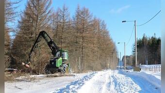 Finlandiya'dan Rusya sınırına duvar