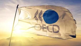OECD: Merkez bankaları faiz artırım rotasını sürdürmeli