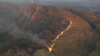 Avustralya'daki yangında 100 bin hektarlık alan kül oldu