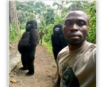 Gorillerle selfie çeken bakıcı o anı anlattı