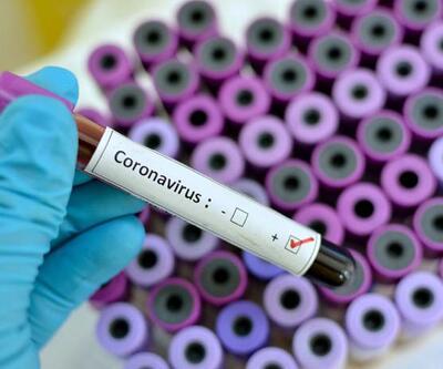 Koronavirüs belirtileri nelerdir İşte gün gün corona virüsü belirtileri