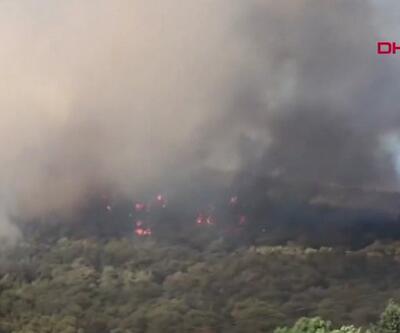 Heybeliadada orman yangını | Video