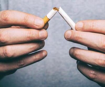 Sigara Ve Alkol Kullanmanın Zararları Nelerdir Alkol Ve Sigara Neden İçilmemelidir