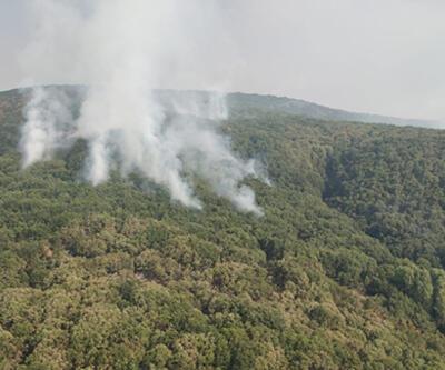 OGM: Tuncelide 2 helikopter ve 1 uçakla yangına müdahale sürüyor