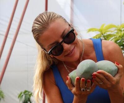 Ivana Sertten mango hasadı