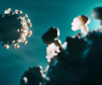DSÖ uyardı: Yeni bir koronavirüs dalgası geliyor