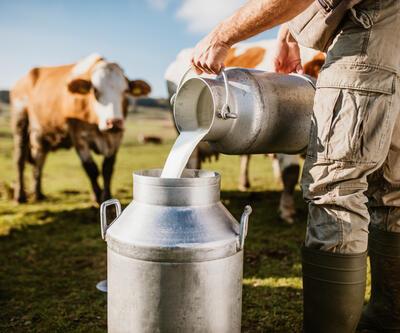 Süt fiyatı neden arttı Artış devam edecek mi