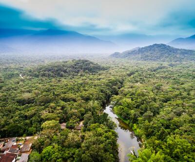 Amazon havzasındaki ormanlar tehlikede