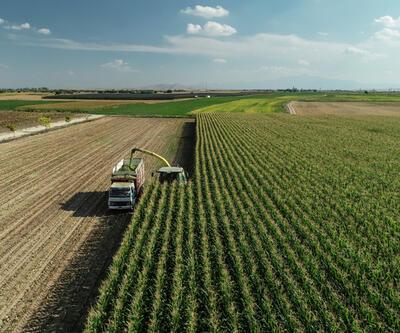 Tarım-ÜFE aylık yüzde 11,08 arttı