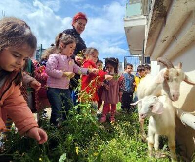 Depremzede çocuklar, enkazdan çıkartılan hayvanları sevdi