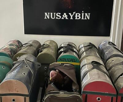 Nusaybinde horoz dövüştüren 38 kişiye 154 bin lira ceza