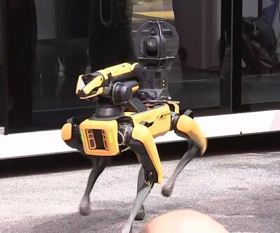 3 robot köpek New York Polis Departmanında
