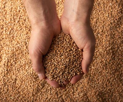 Slovakya da Ukraynadan tahıl ithalatını durduruyor