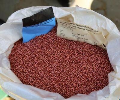 Bursa’da çiftçilere sorgum-sudan otu tohumu dağıtıldı