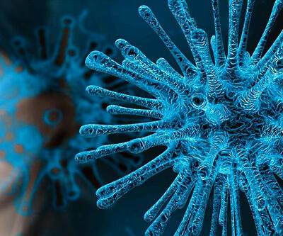 Son dakika... DSÖden koronavirüs açıklaması: Artık uluslararası acil sağlık durumu değil