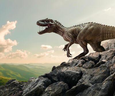 Dinozor İsimleri: En Bilinen Dinozor İsimleri ve Özellikleri Nelerdir