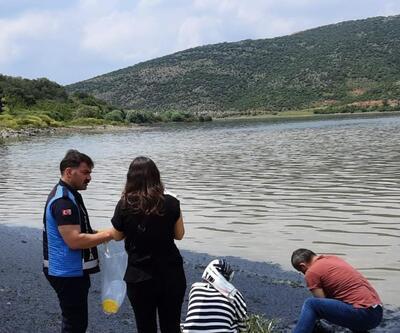 Bursada Boğazköy Barajının yüzeyi siyaha büründü
