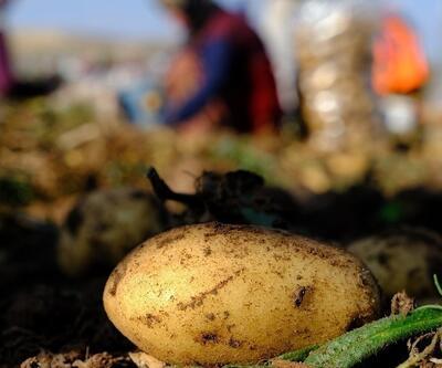 Mayısta en çok patates pahalandı