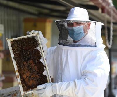 Balıkesirde 20 binden fazla kraliçe arı dağıtımı yapıldı