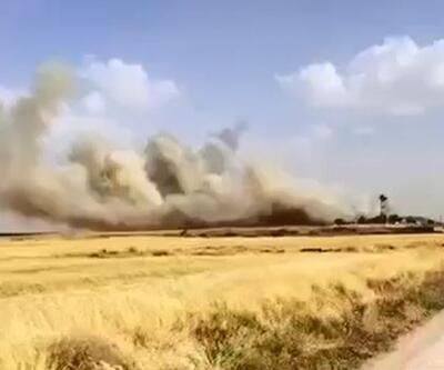 Mardinde 150 dönüm alanda ekili buğday yandı