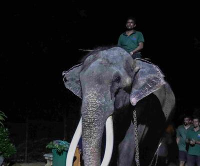 İşkence iddiaları iki ülke arasında krize neden olmuştu: Hediye edilen fil geri alındı