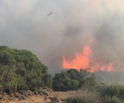 Gökçeada’da orman yangını Havadan ve karadan yangına müdahale sürüyor