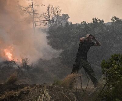 Akdeniz’i kasıp kavuran orman yangınları: Cezayir’de 34, Yunanistan’da 3 can kaybı